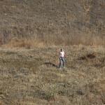 cambriaDR_0050 (November 02, 2019)